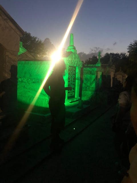 undefined Gallery Image 4