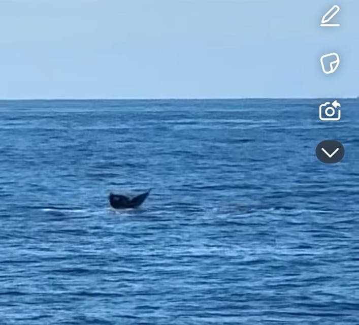 undefined Gallery Image 3