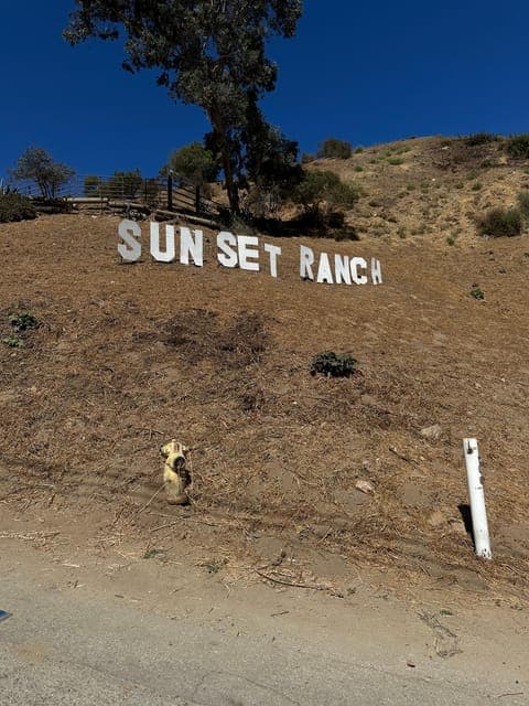 undefined Gallery Image 1