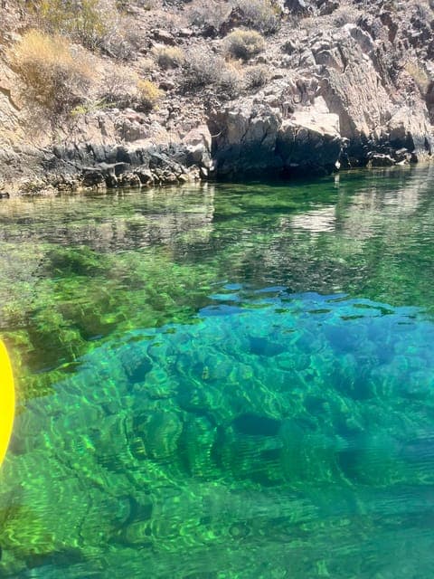 undefined Gallery Image 4