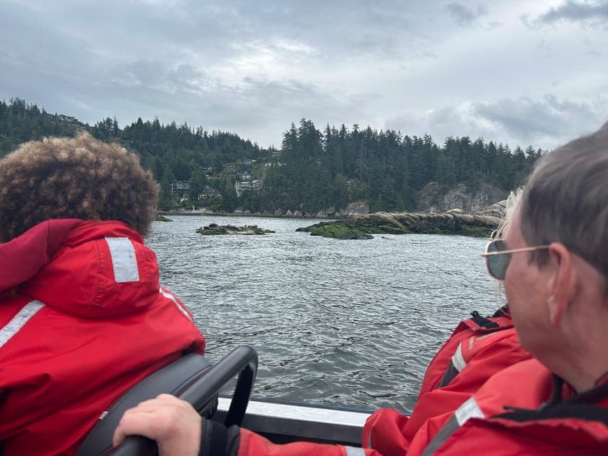 undefined Gallery Image 3