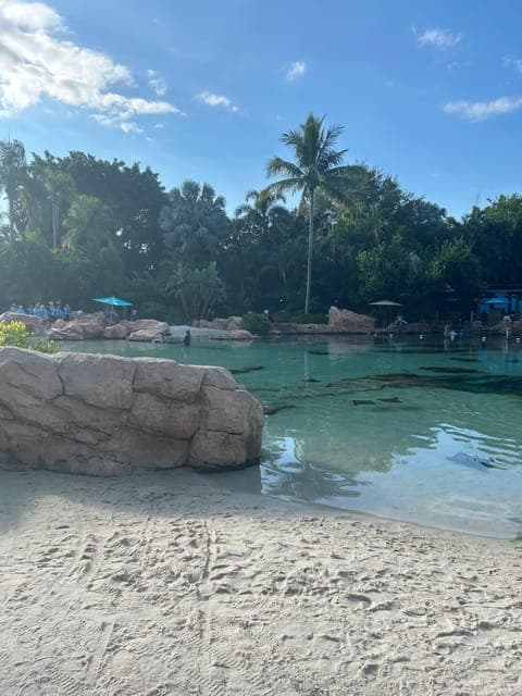 undefined Gallery Image 2