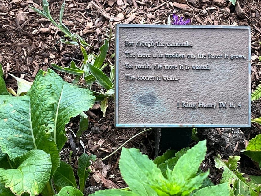 undefined Gallery Image 2