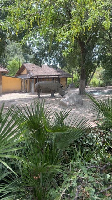 undefined Gallery Image 4