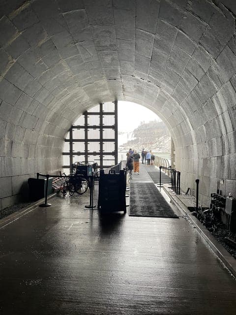 undefined Gallery Image 1