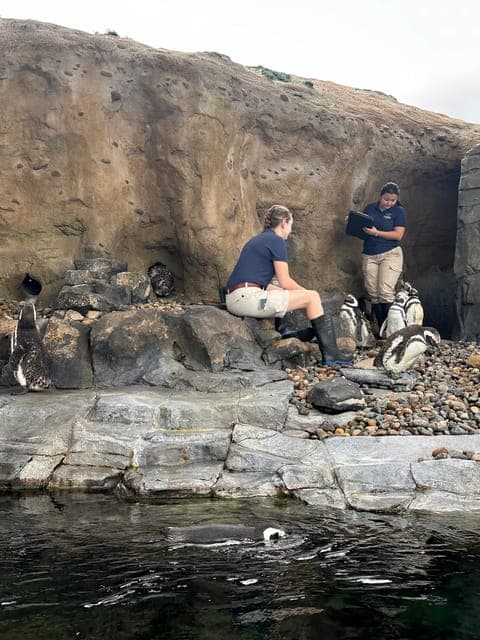 undefined Gallery Image 4