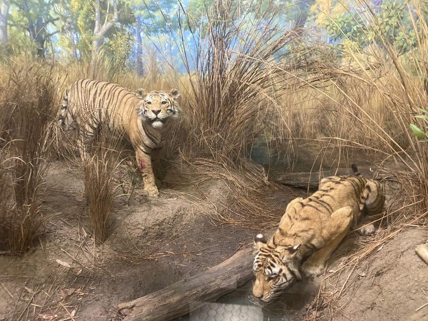 undefined Gallery Image 3