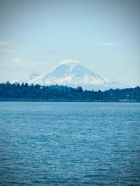 undefined Gallery Image 4