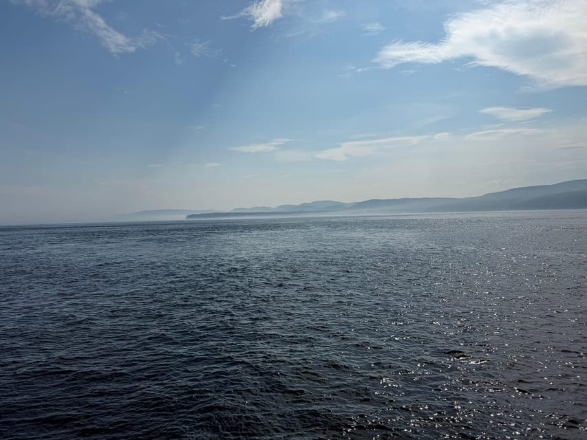 undefined Gallery Image 3