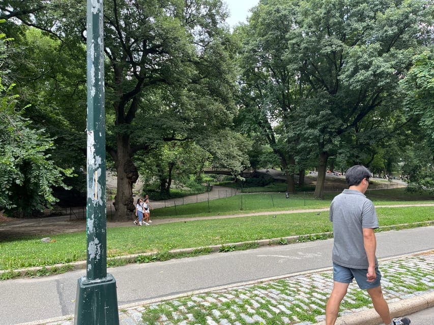 undefined Gallery Image 3