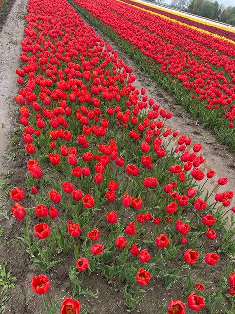 undefined Gallery Image 3