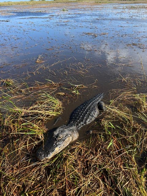 undefined Gallery Image 2