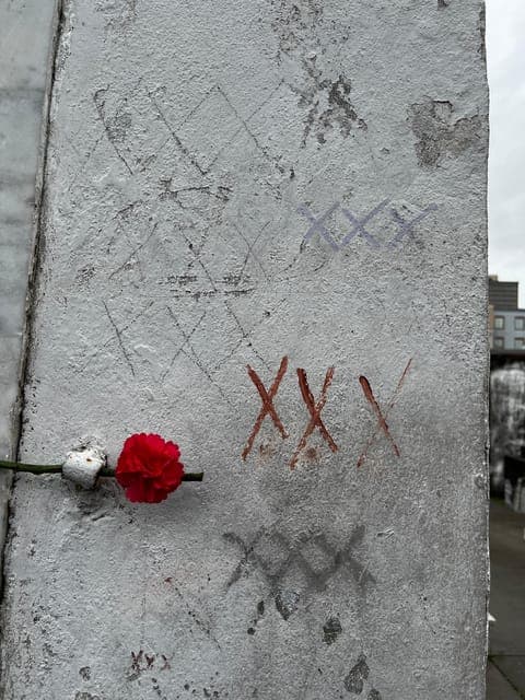 undefined Gallery Image 3