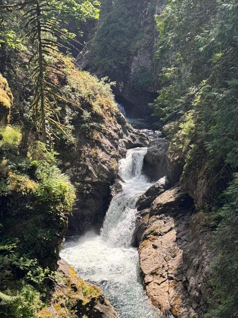 undefined Gallery Image 2