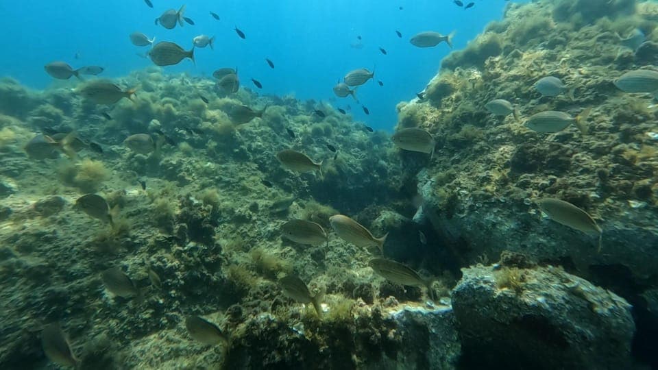 undefined Gallery Image 3