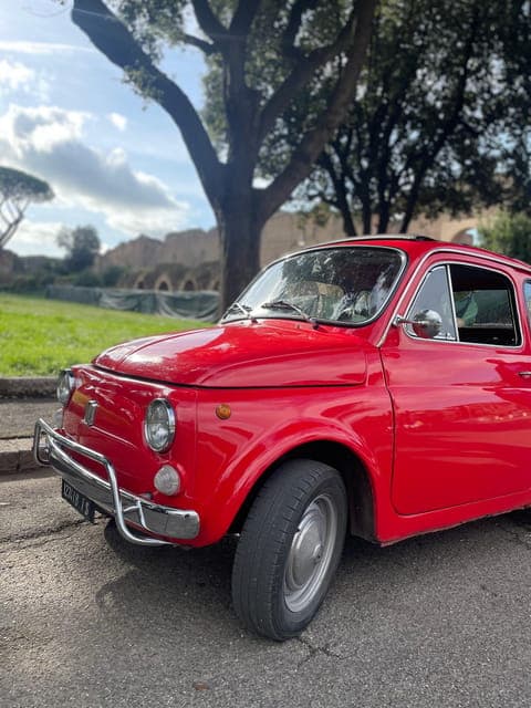 undefined Gallery Image 1