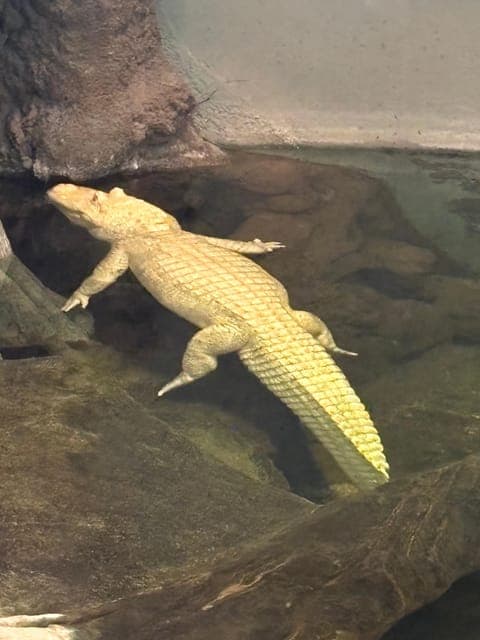 undefined Gallery Image 1