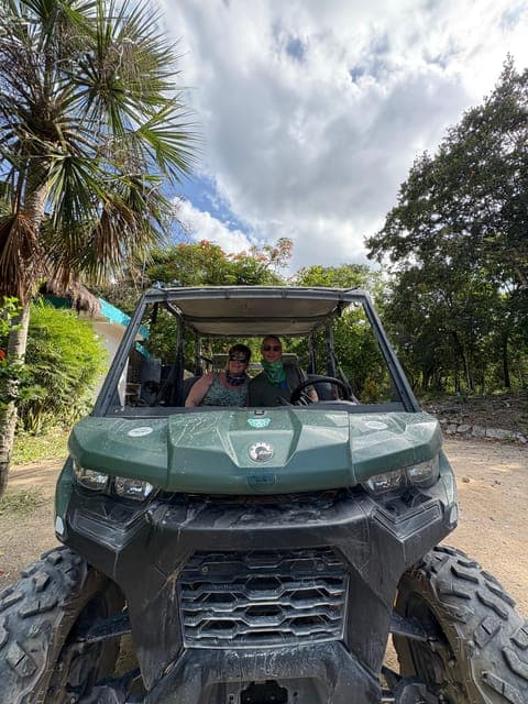 undefined Gallery Image 3