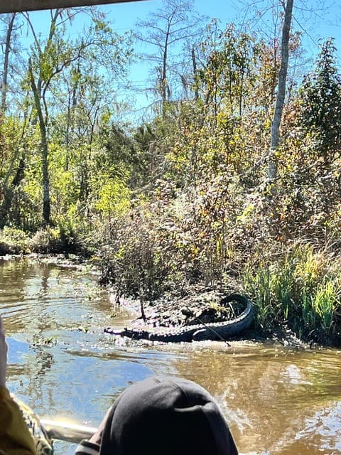 undefined Gallery Image 3