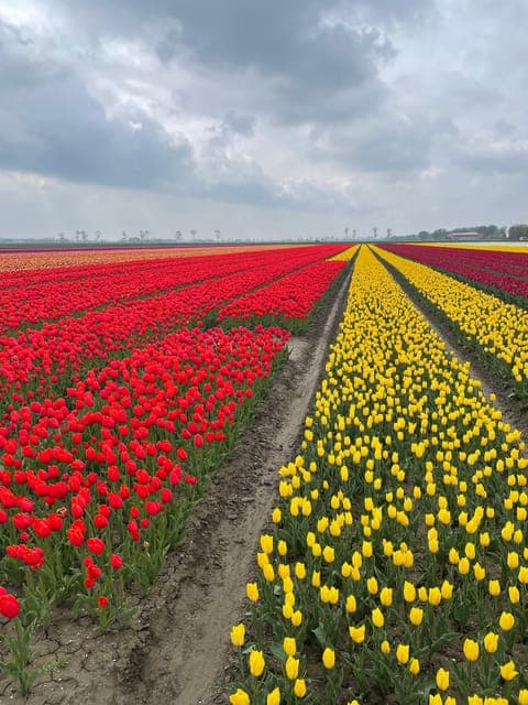 undefined Gallery Image 4