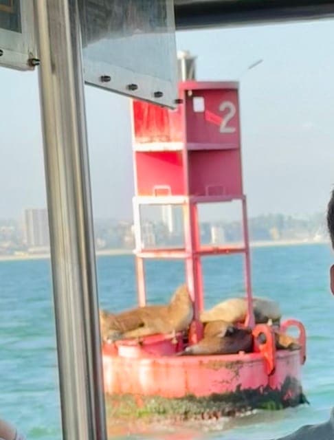 undefined Gallery Image 3