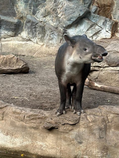 undefined Gallery Image 3