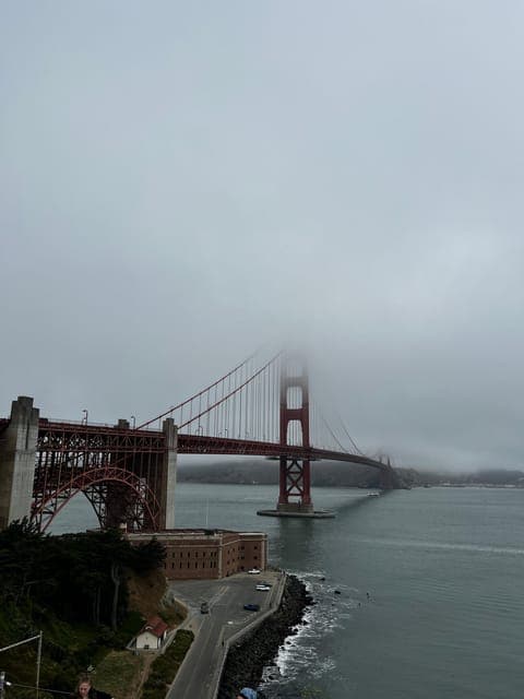 undefined Gallery Image 1