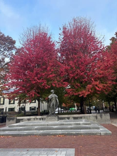 undefined Gallery Image 3