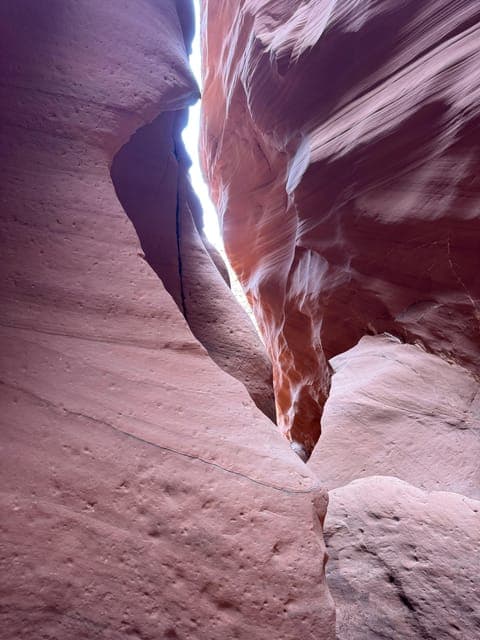 undefined Gallery Image 3