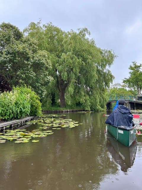 undefined Gallery Image 1