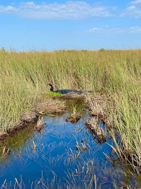 undefined Gallery Image 3