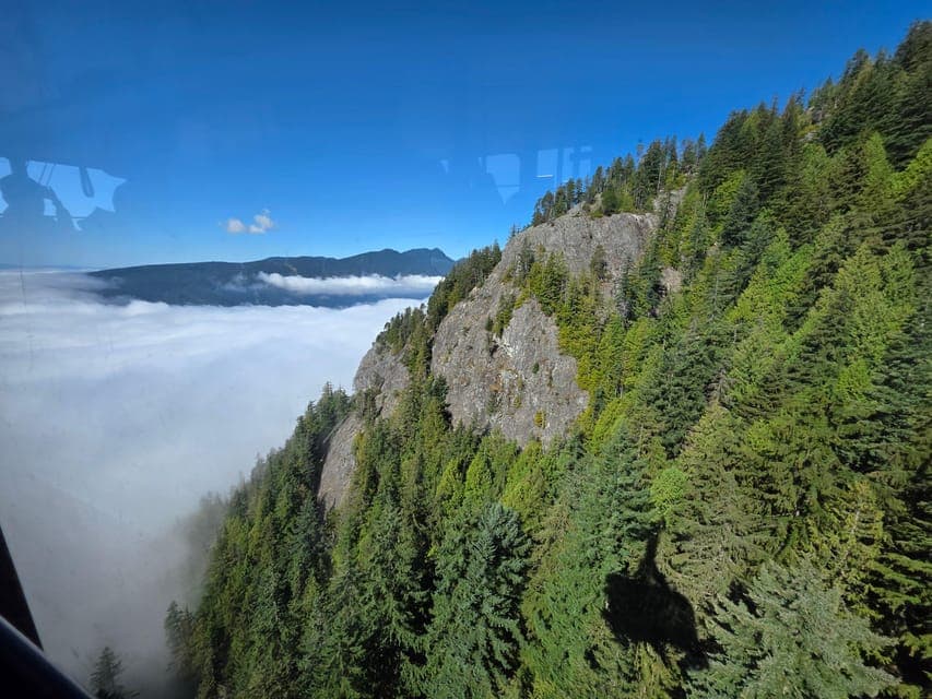 undefined Gallery Image 4