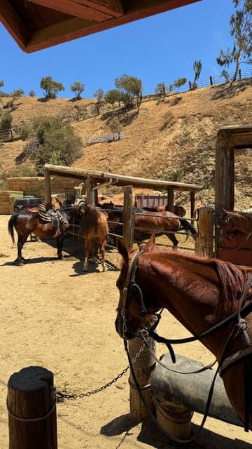 undefined Gallery Image 3