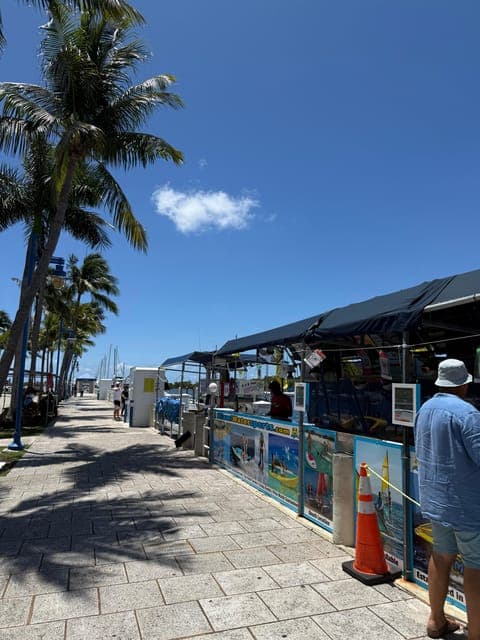 undefined Gallery Image 4