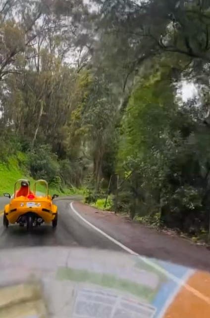 undefined Gallery Image 3