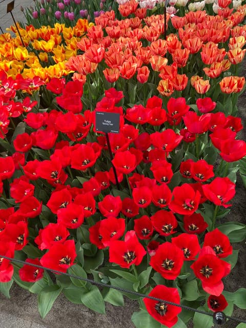 undefined Gallery Image 4