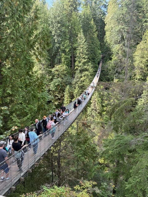 undefined Gallery Image 4