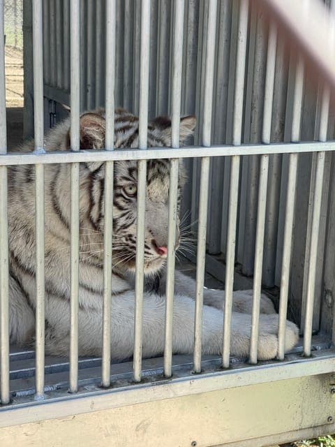 undefined Gallery Image 1