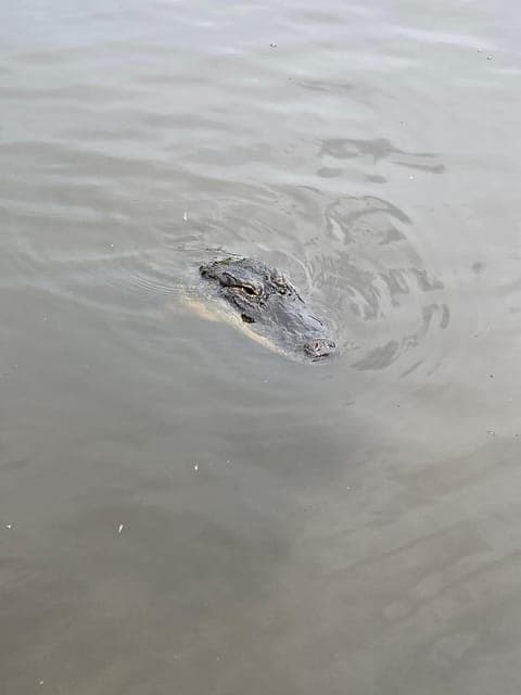 undefined Gallery Image 2