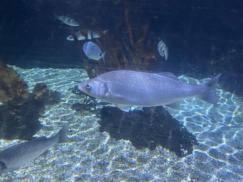 undefined Gallery Image 2