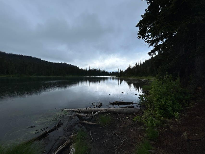 undefined Gallery Image 1