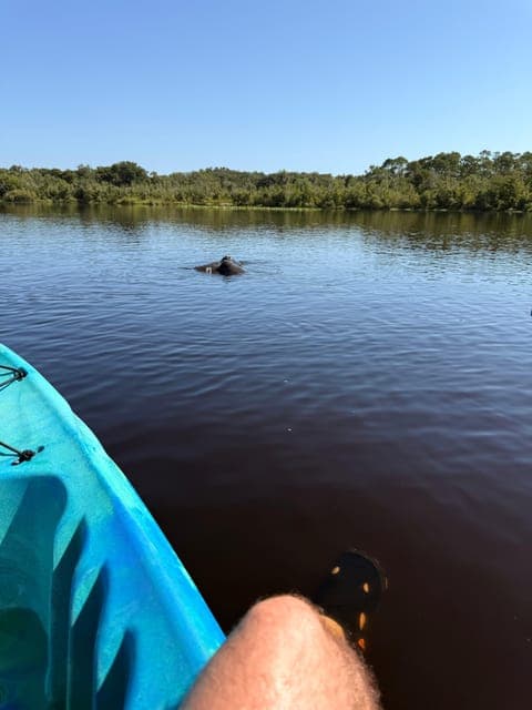 undefined Gallery Image 1