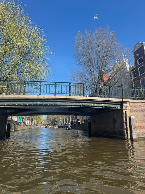 undefined Gallery Image 1