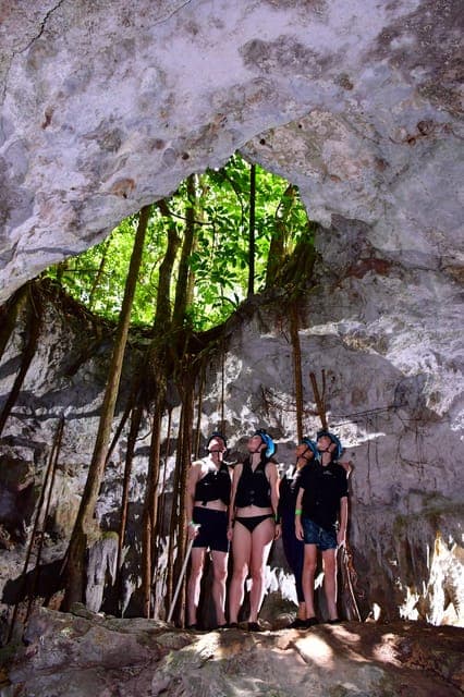 undefined Gallery Image 4