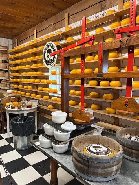 undefined Gallery Image 2