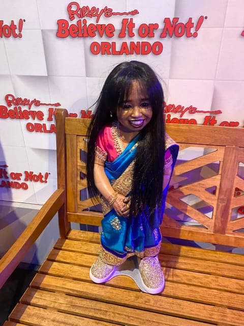 undefined Gallery Image 1