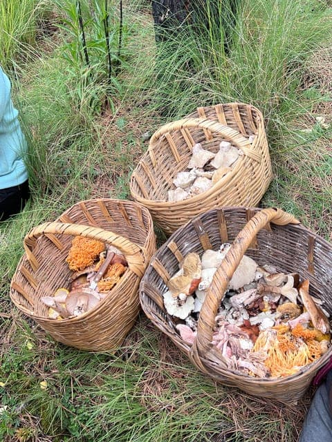 undefined Gallery Image 4