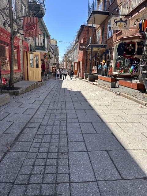 undefined Gallery Image 4