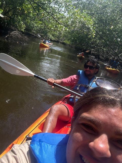 undefined Gallery Image 1