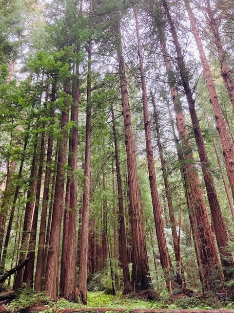 undefined Gallery Image 1